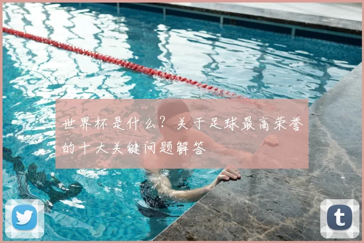 世界杯是什么?关于足球最高荣誉的十大关键问题解答