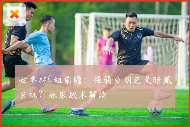 世界杯C组前瞻：强弱分明还是暗藏玄机？独家战术解读
