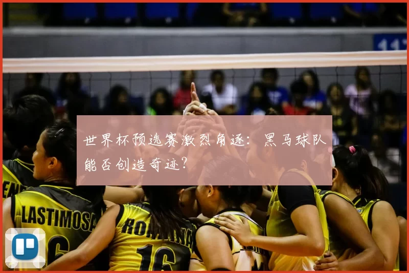 世界杯预选赛激烈角逐：黑马球队能否创造奇迹？