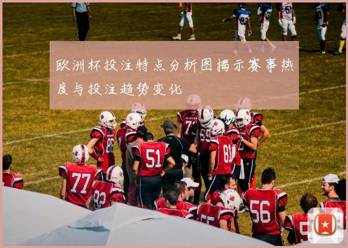欧洲杯投注特点分析图揭示赛事热度与投注趋势变化