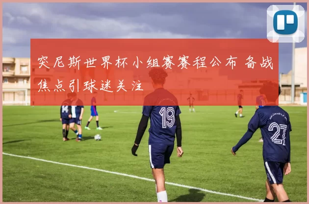 突尼斯世界杯小组赛赛程公布 备战焦点引球迷关注
