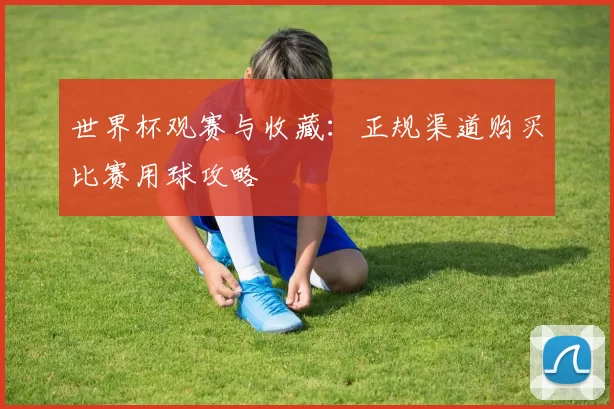 世界杯观赛与收藏：正规渠道购买比赛用球攻略