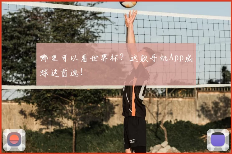 哪里可以看世界杯？这款手机App成球迷首选！