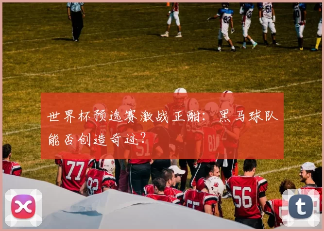 世界杯预选赛激战正酣:黑马球队能否创造奇迹?