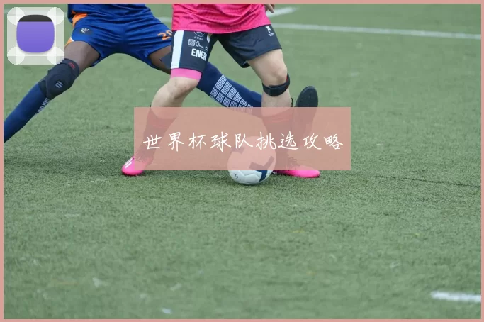世界杯球队挑选攻略