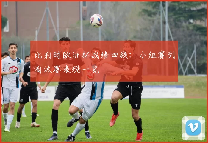 比利时欧洲杯战绩回顾：小组赛到淘汰赛表现一览