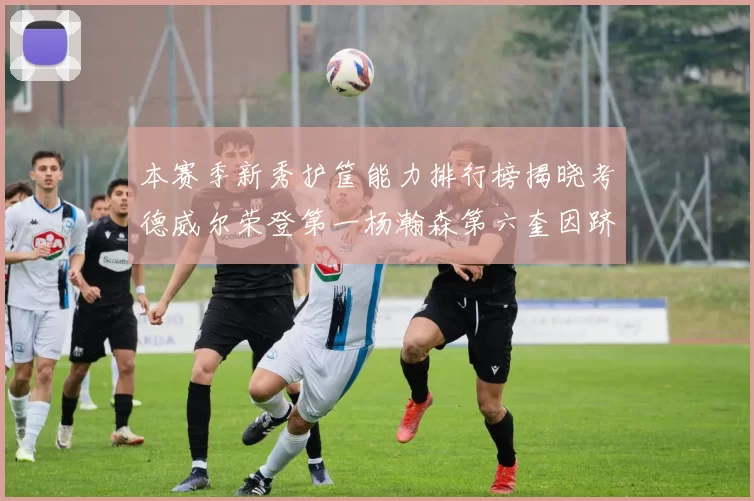 本赛季新秀护筐能力排行榜揭晓考德威尔荣登第一杨瀚森第六奎因跻身前十