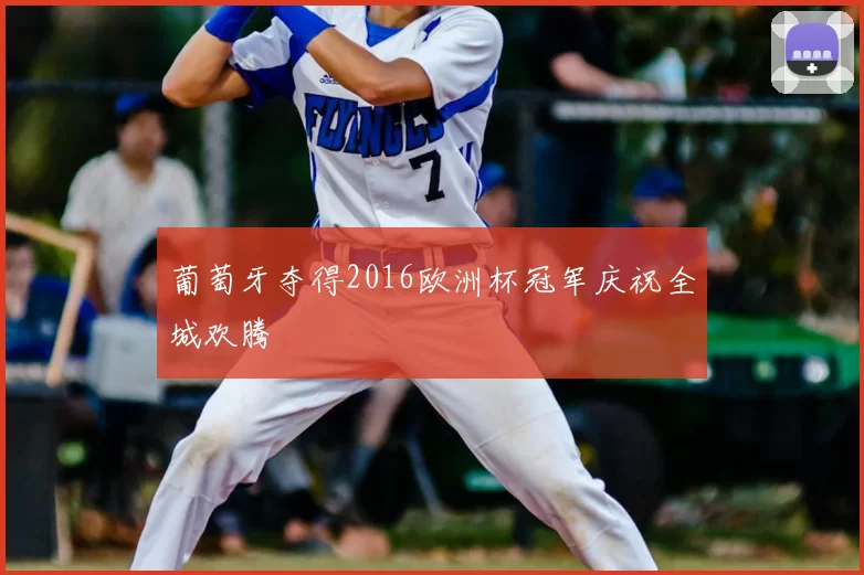 葡萄牙夺得2016欧洲杯冠军庆祝全城欢腾
