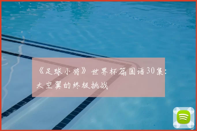 《足球小将》世界杯篇国语30集：大空翼的终极挑战