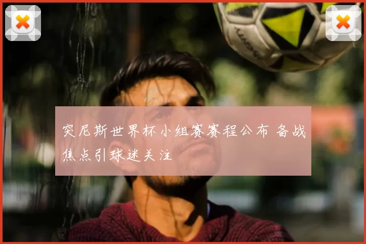 突尼斯世界杯小组赛赛程公布 备战焦点引球迷关注