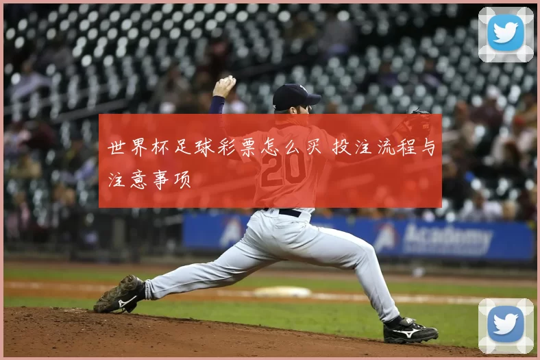 世界杯足球彩票怎么买 投注流程与注意事项