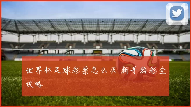 世界杯足球彩票怎么买 新手购彩全攻略