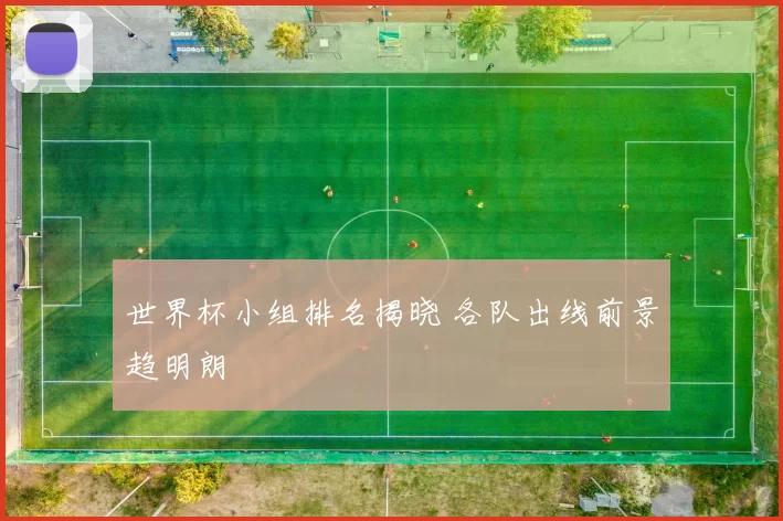 世界杯小组排名揭晓 各队出线前景趋明朗