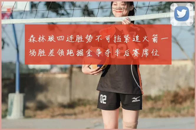 森林狼四连胜势不可挡紧追火箭一场胜差领跑掘金争夺季后赛席位