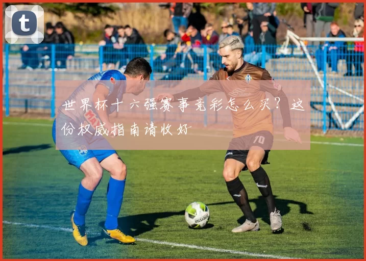 世界杯十六强赛事竞彩怎么买?这份权威指南请收好