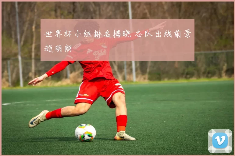 世界杯小组排名揭晓 各队出线前景趋明朗